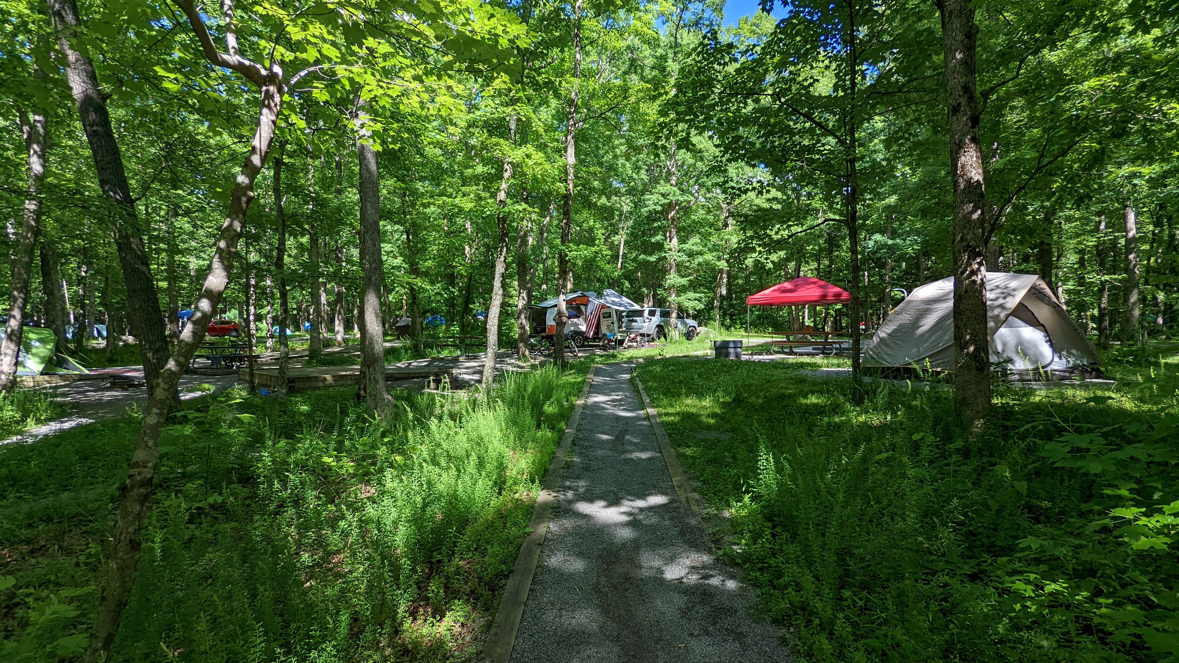Camper-submitted photo at Cades Cove Group Campground — Great Smoky Mountains National Park near Townsend, TN