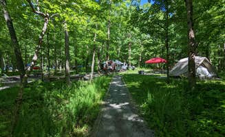 Bryan W.'s photo at Cades Cove Group Campground — Great Smoky Mountains National Park near Townsend, TN
