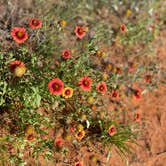 Review photo of Red Rock Canyon Adventure Park by Amy & Stu B., June 17, 2022