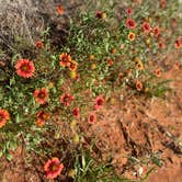 Review photo of Red Rock Canyon Adventure Park by Amy & Stu B., June 17, 2022