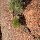 Review photo of Red Rock Canyon Adventure Park by Amy & Stu B., June 17, 2022