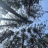 Review photo of Carrieville State Forest Campground by Shelby S., June 17, 2022