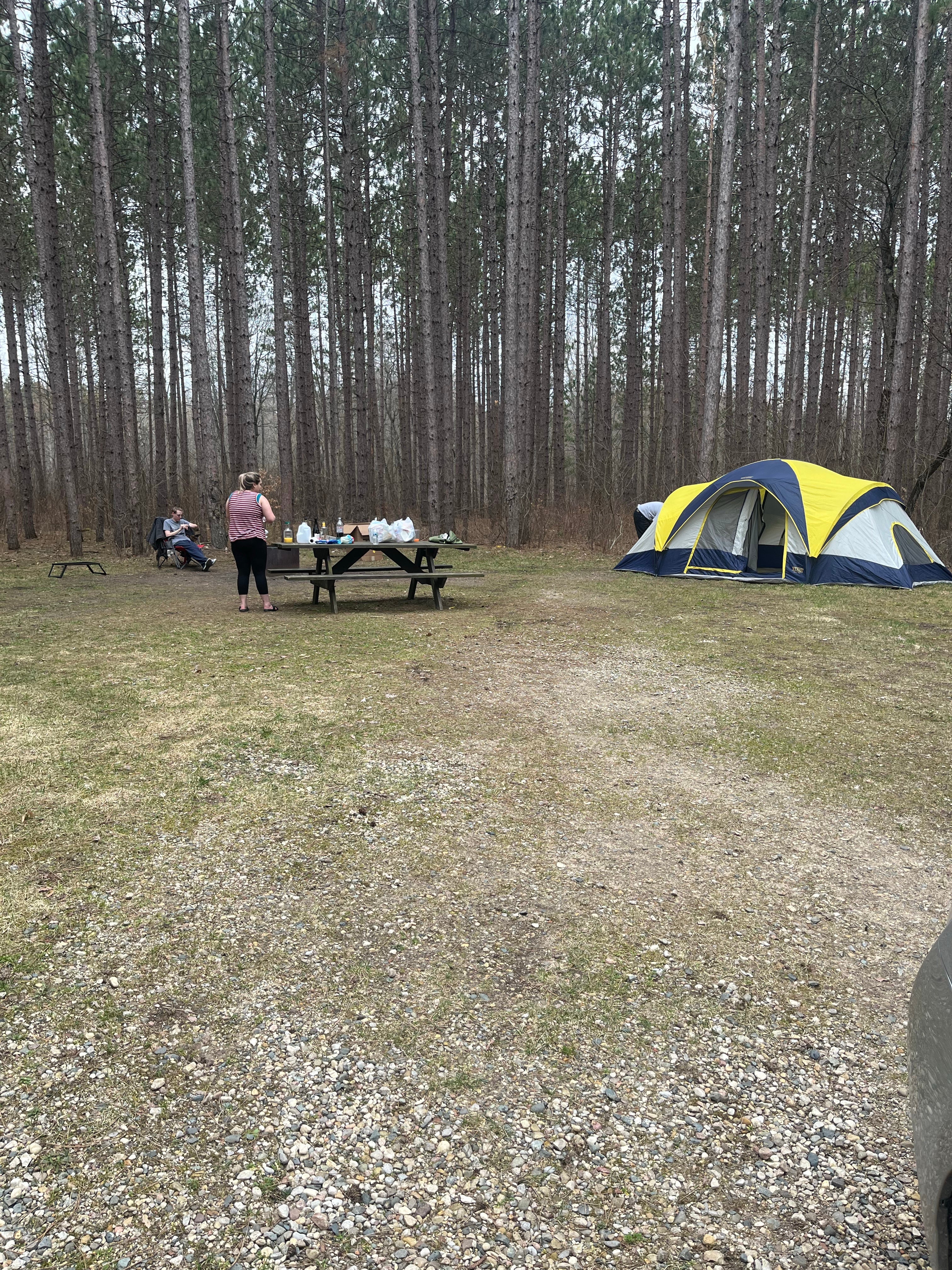 Camper submitted image from Carrieville State Forest Campground - 3