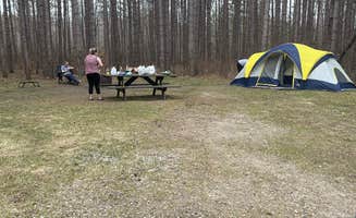 Shelby S.'s photo at Carrieville State Forest Campground near Luther, MI