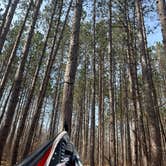 Review photo of Carrieville State Forest Campground by Shelby S., June 17, 2022