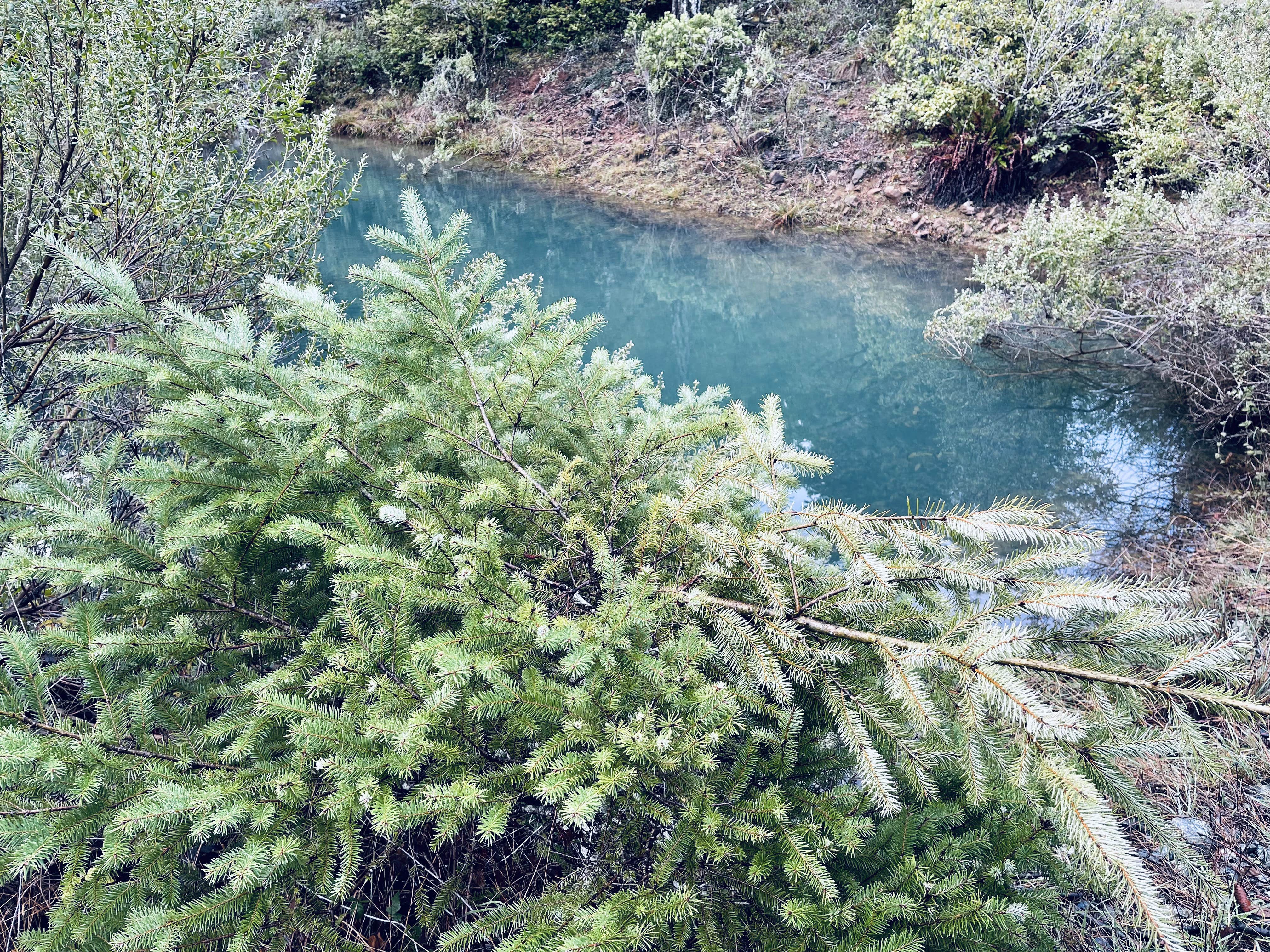 Camping near Jedidiah Smith Campground — Redwood National Park: Free-Your-Mind Camping - Campground, Gasquet, California