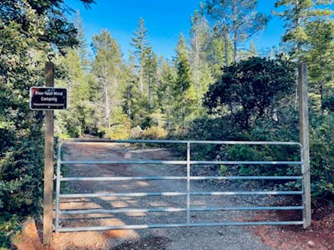 Camper-submitted photo at Free-Your-Mind Camping - Campground near Redwood National Park