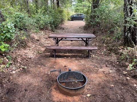 Camper-submitted photo at Free-Your-Mind Camping - Campground near Redwood National Park