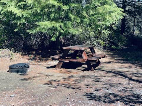 Camper-submitted photo at Free-Your-Mind Camping - Campground near Redwood National Park