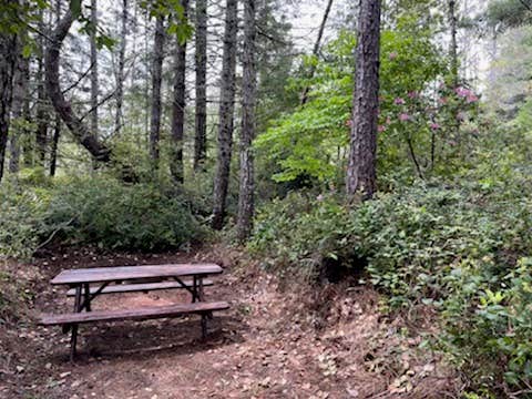 Camper-submitted photo at Free-Your-Mind Camping - Campground near Redwood National Park