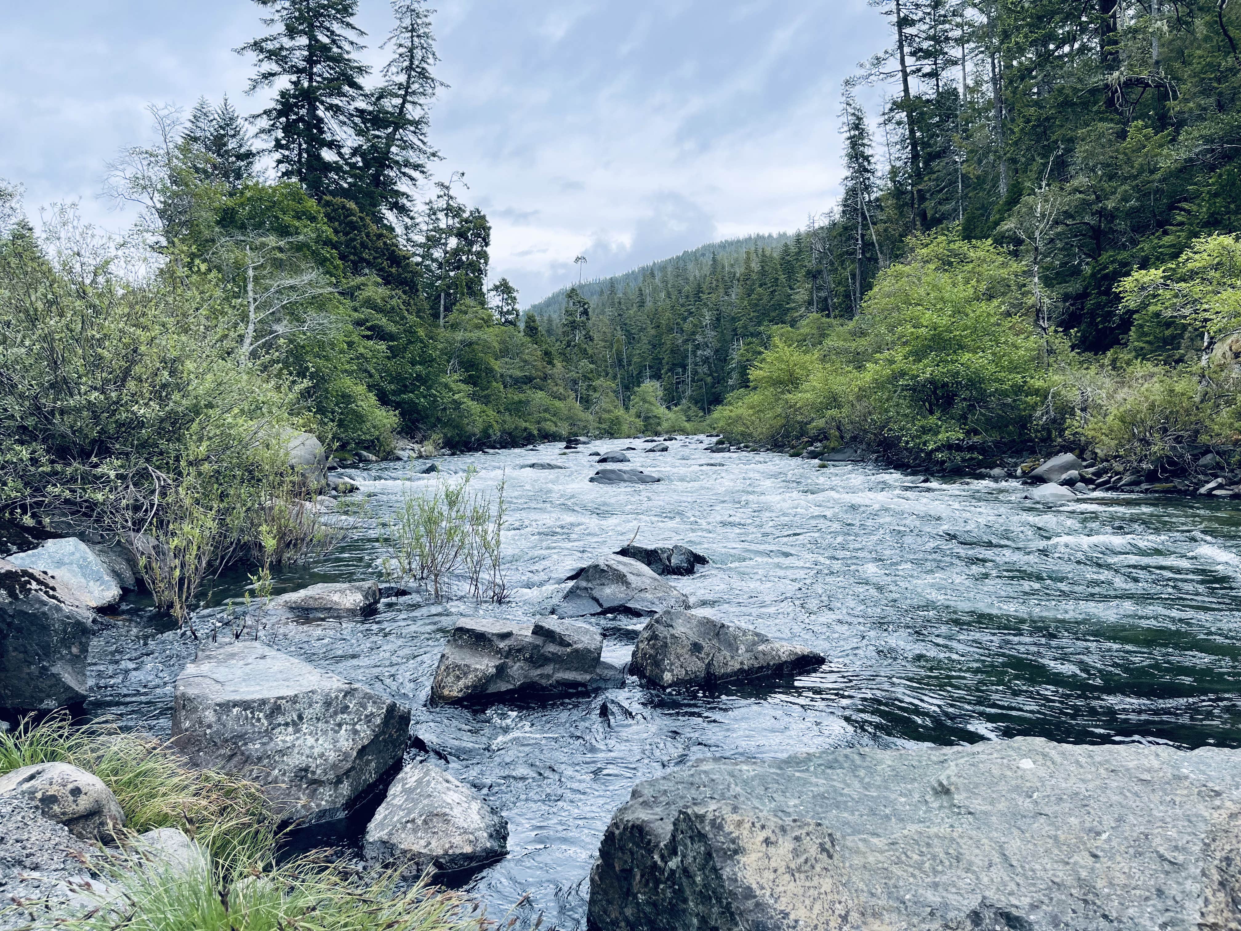 Camper-submitted photo at Free-Your-Mind Camping - Campground near Redwood National Park