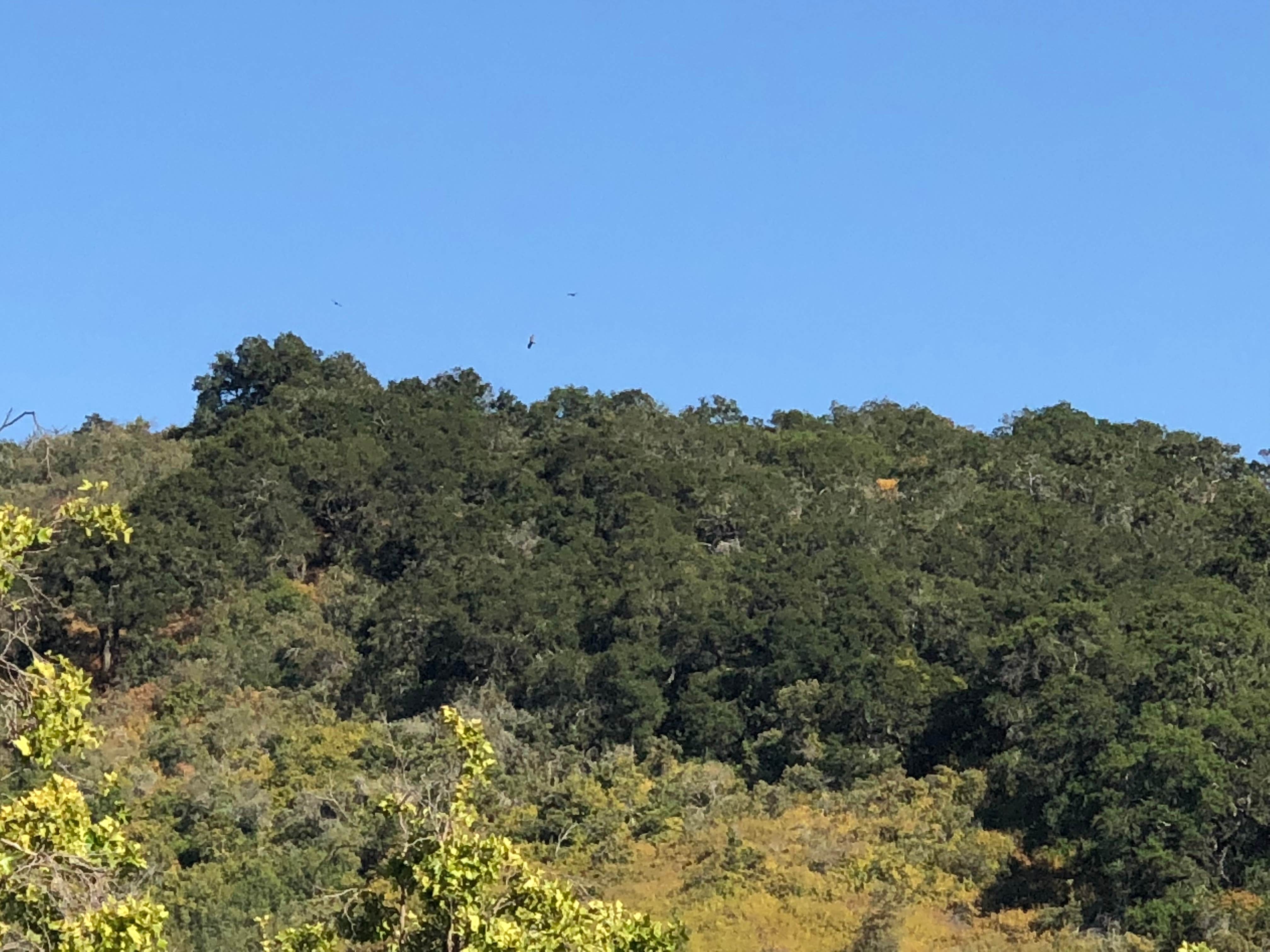 Camper-submitted photo at Lopez Lake Recreation Area near Santa Maria, CA