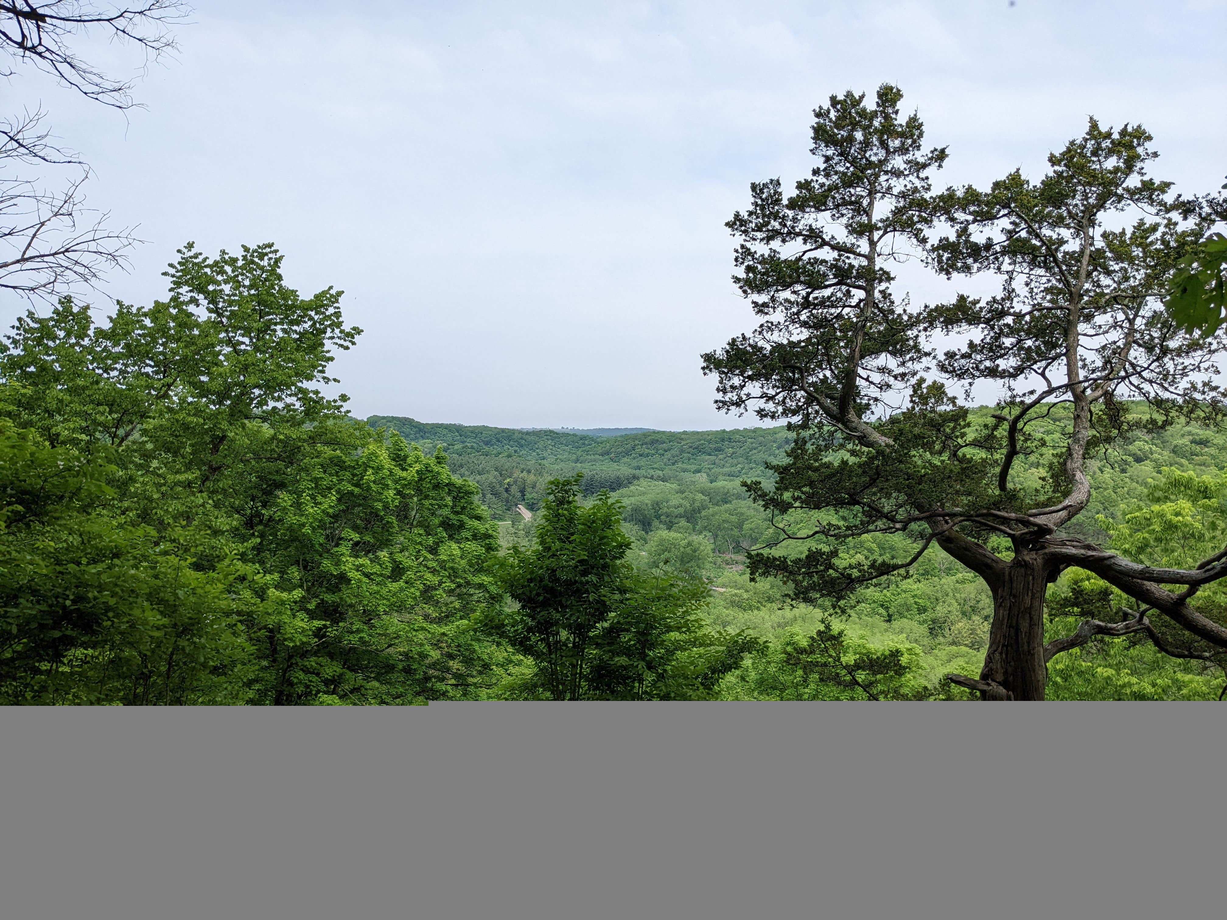 Camper-submitted photo at Big Paint Campground — Yellow River State Forest near Lansing, IA