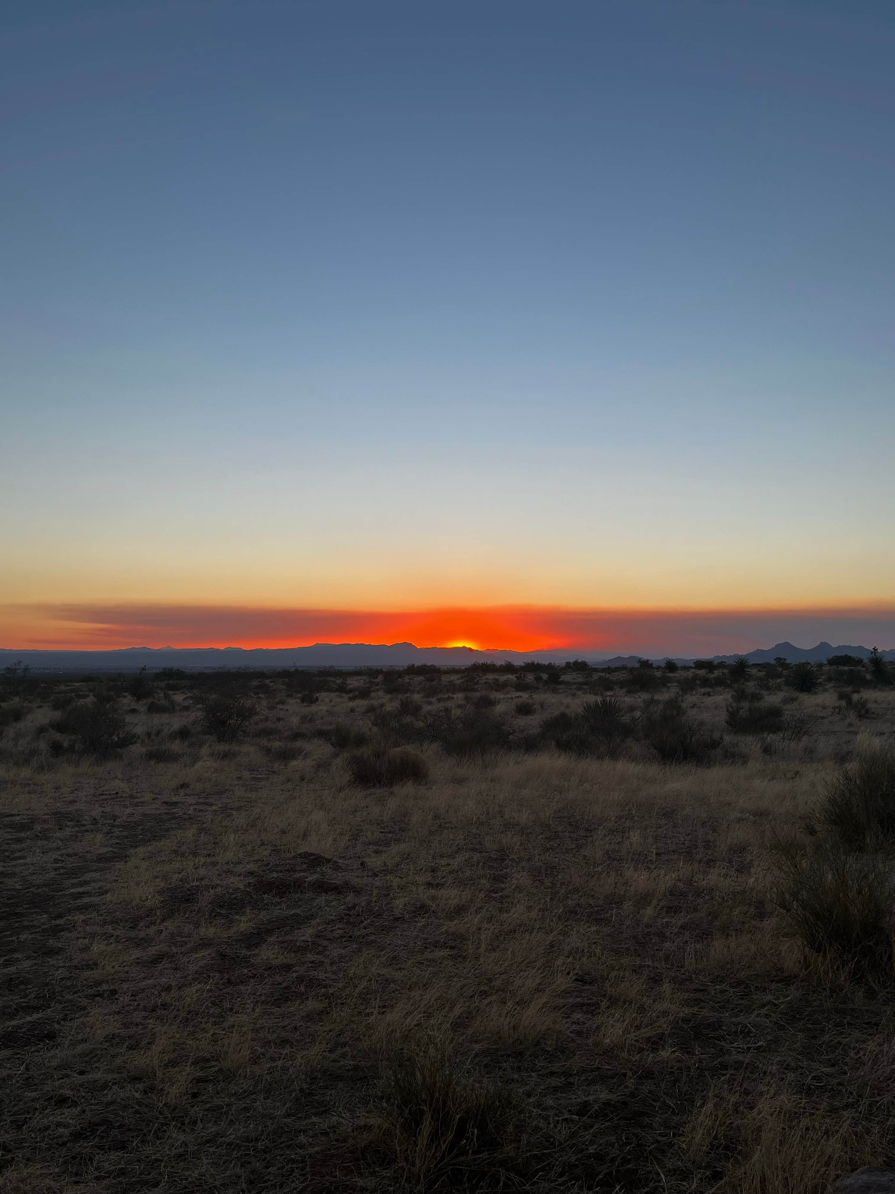 Morgan T.'s photo of a dispersed camping area at Sierra Vista near Hatch, NM