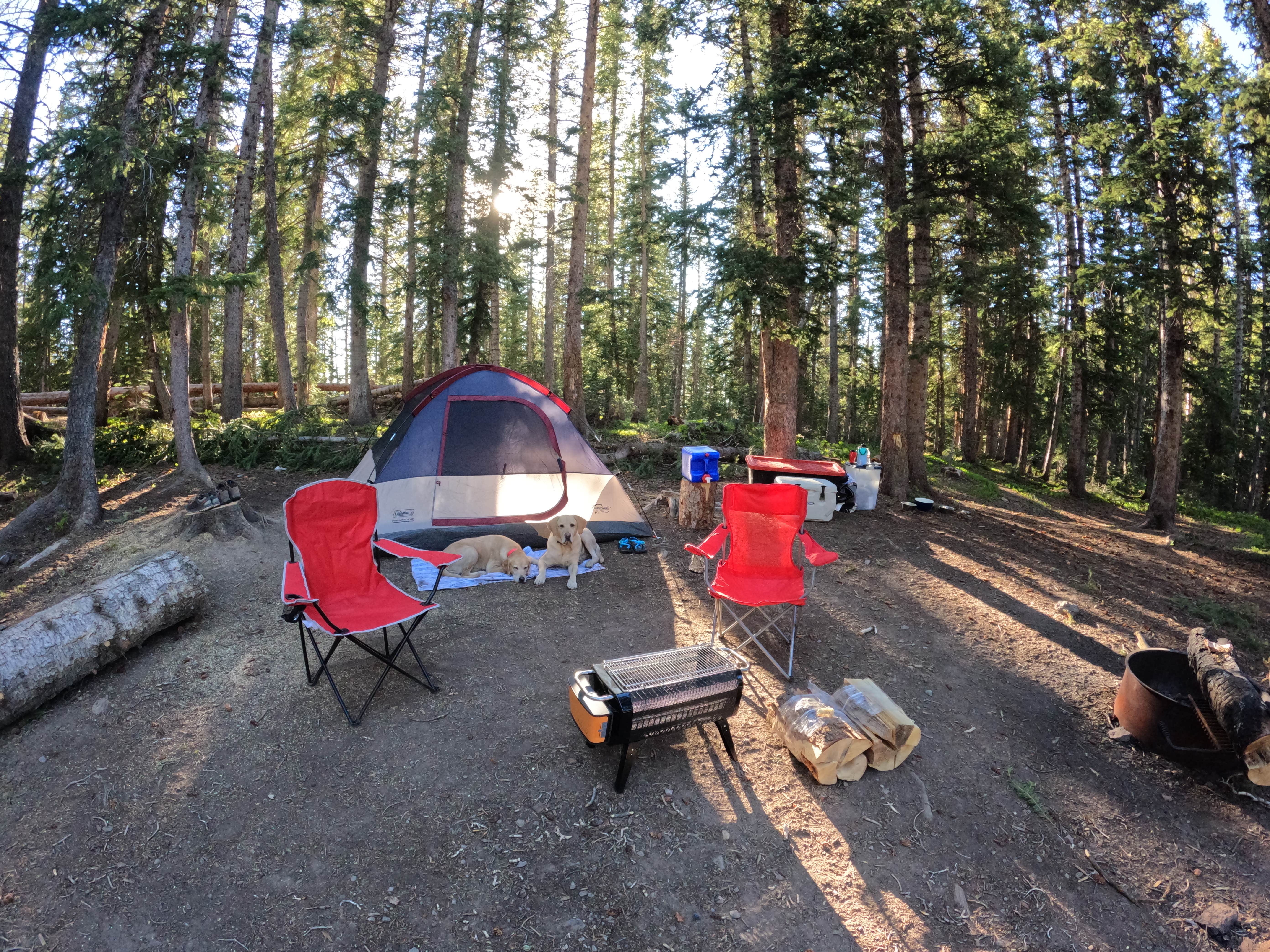 Hailee J.'s photo of tent camping at Alta Lakes Campground (Dispersed) near Durango, CO