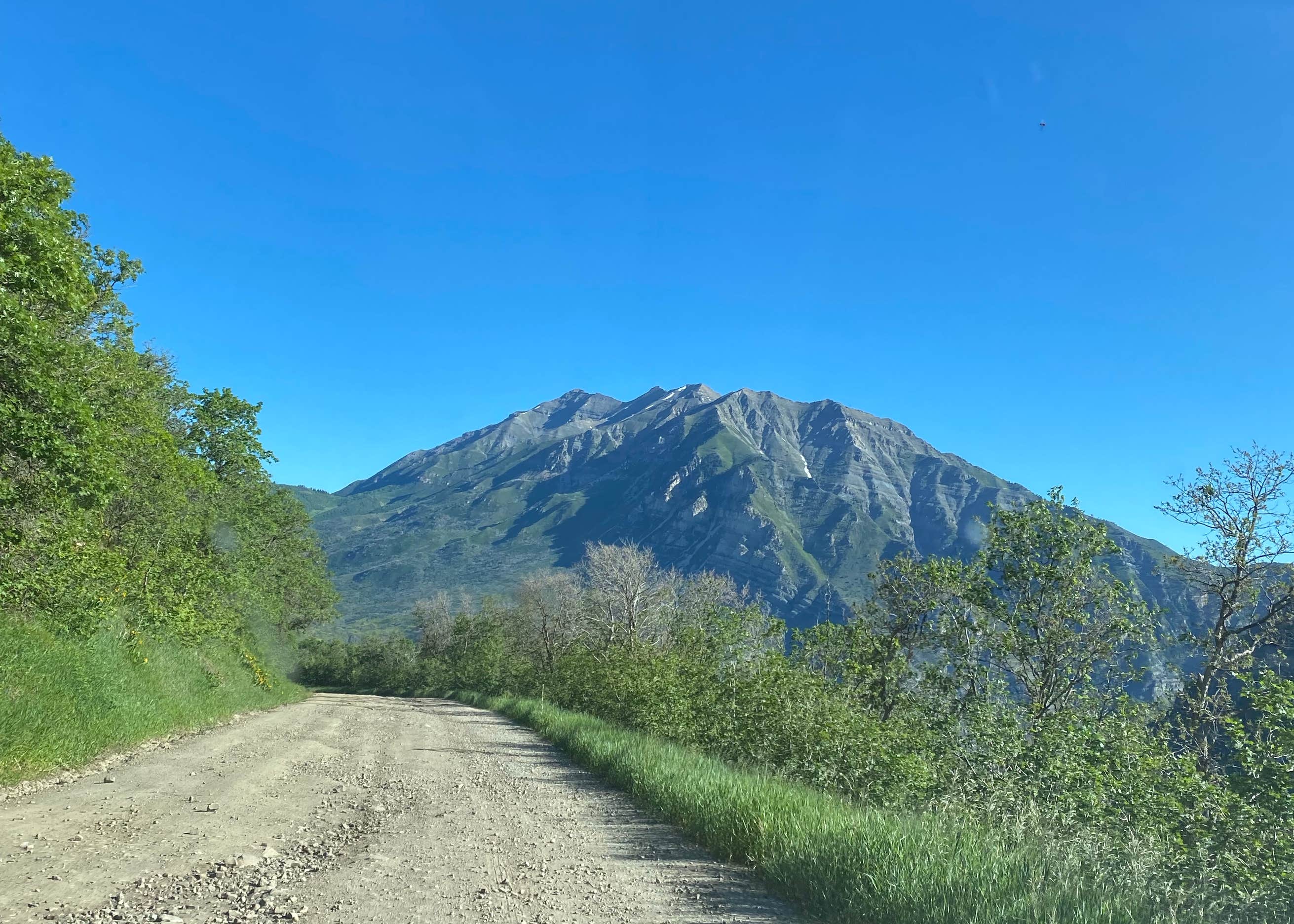 Squaw Peak Road Dispersed Camping The Dyrt