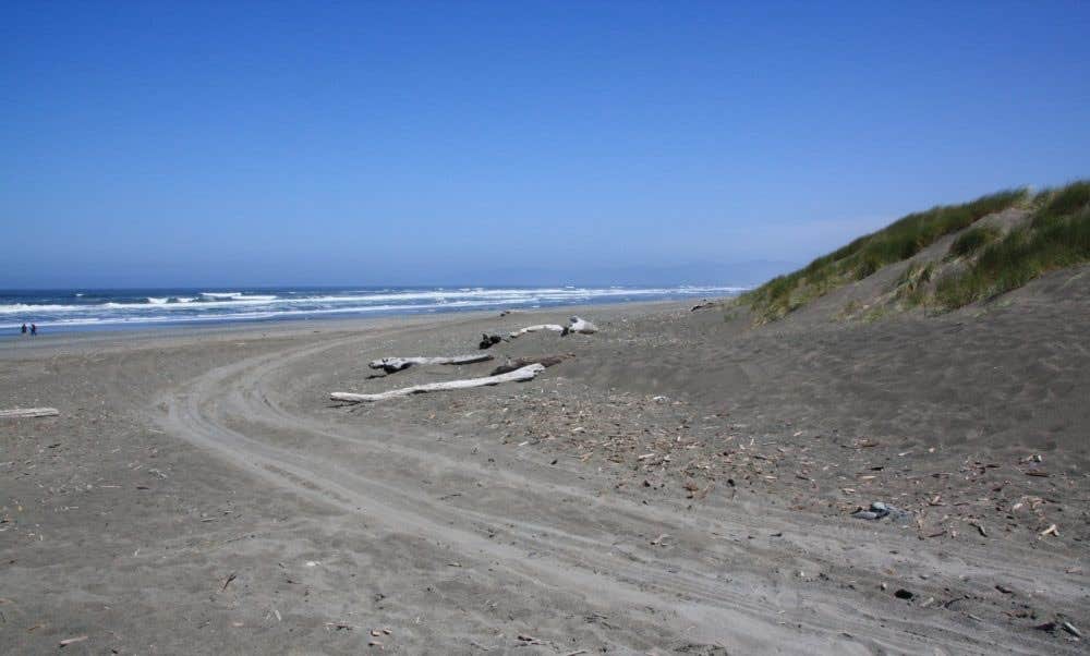 Camping near Pinegrove Mobile Home and RV Park: Drifting Logs @ Kellogg Beach, Fort Dick, California