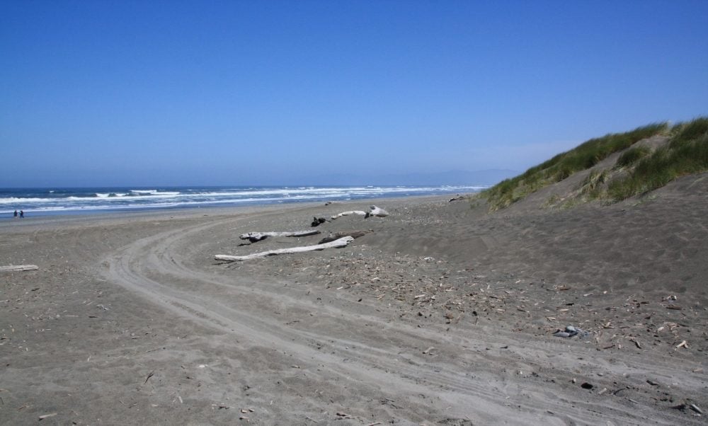 Camper submitted image from Drifting Logs @ Kellogg Beach - 1