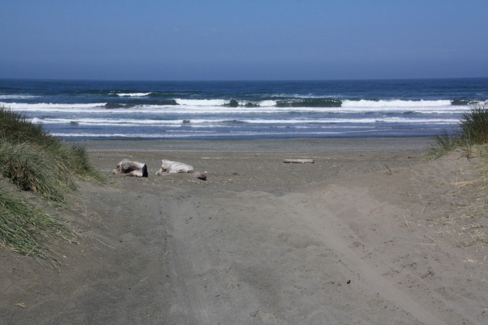 Camper submitted image from Drifting Logs @ Kellogg Beach - 2