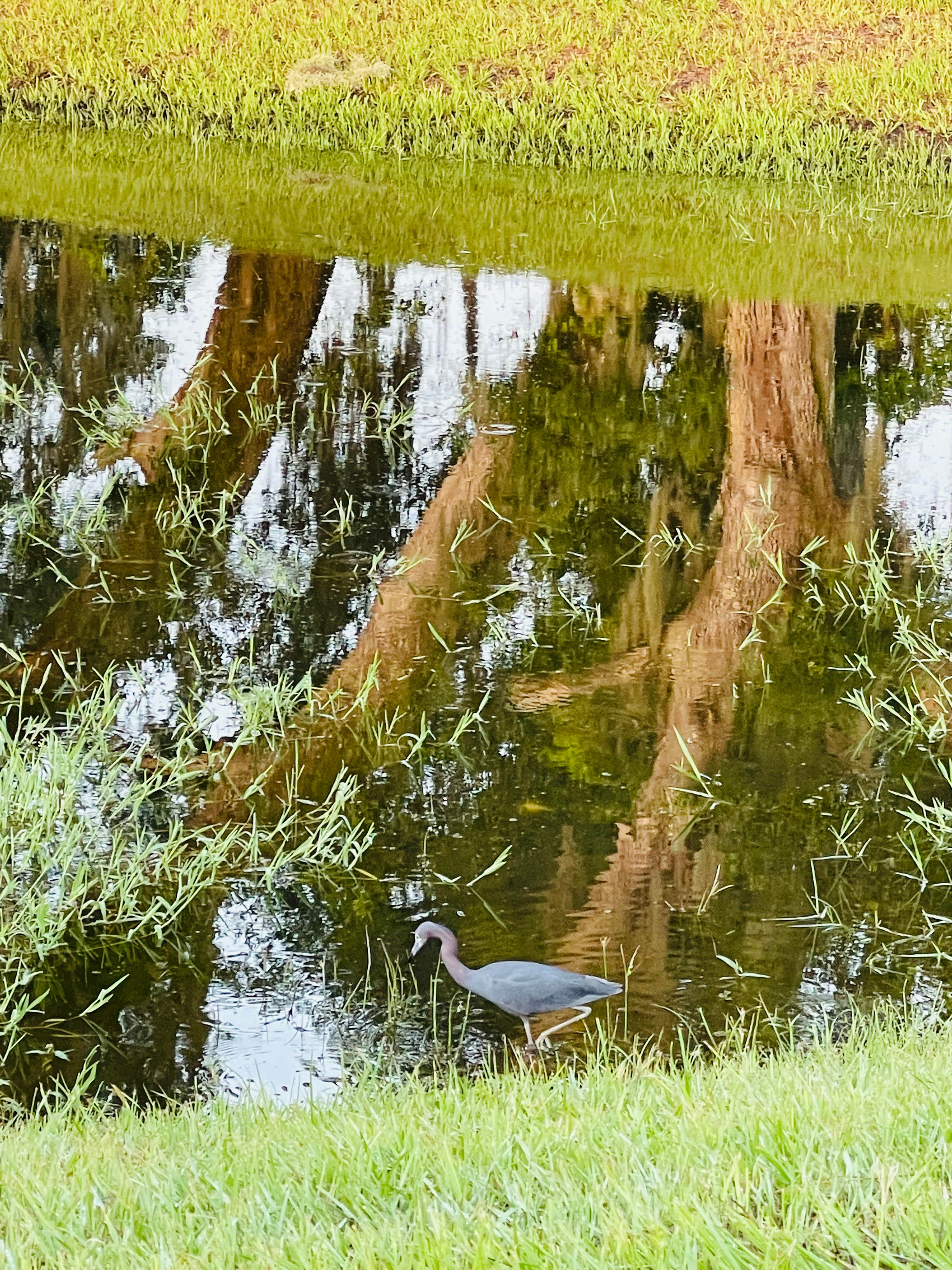 Camper-submitted photo at Wildwood RV Village Campground near Wildwood, FL