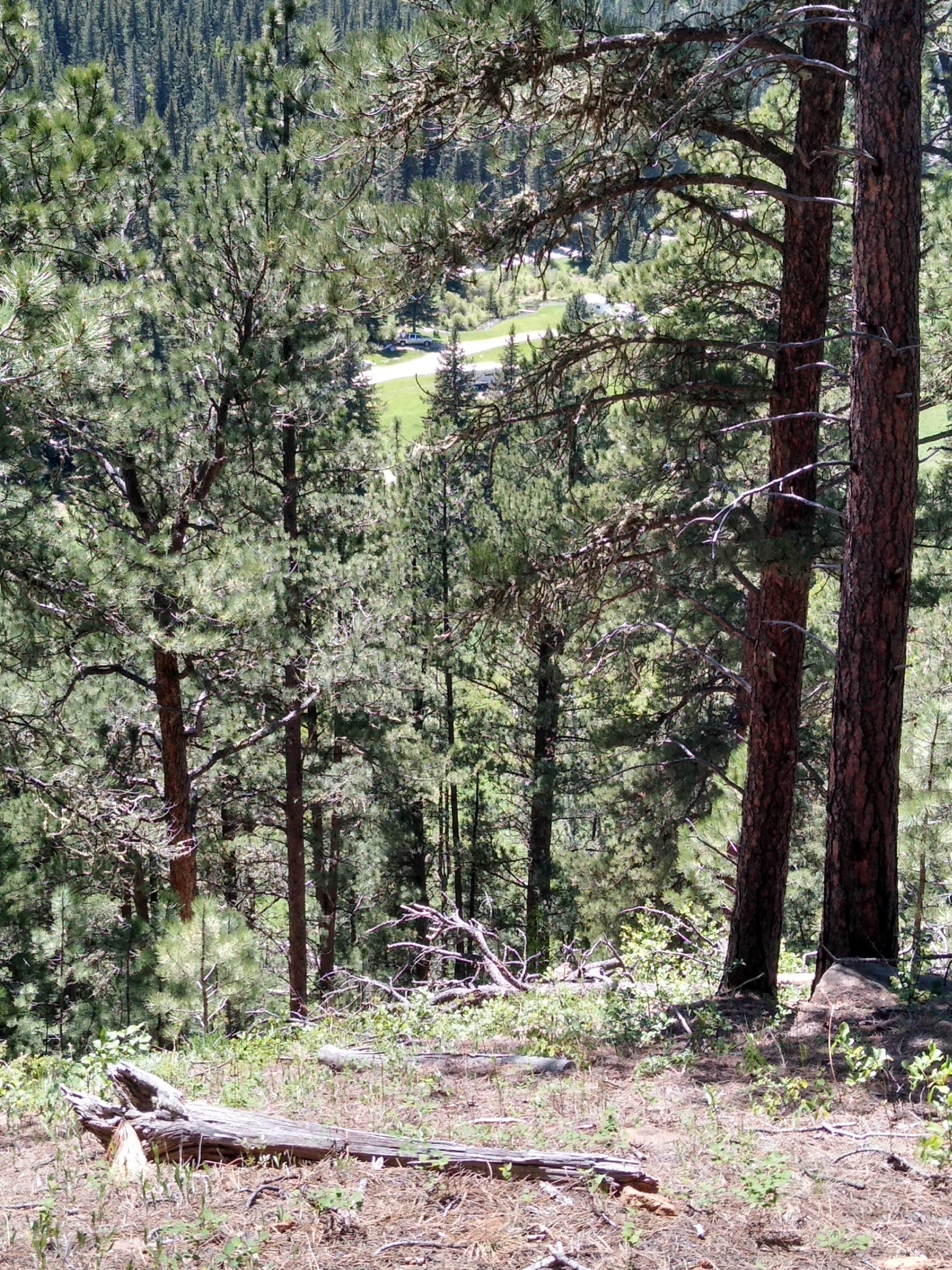 Camper-submitted photo at Hanna Campground near Lead, SD