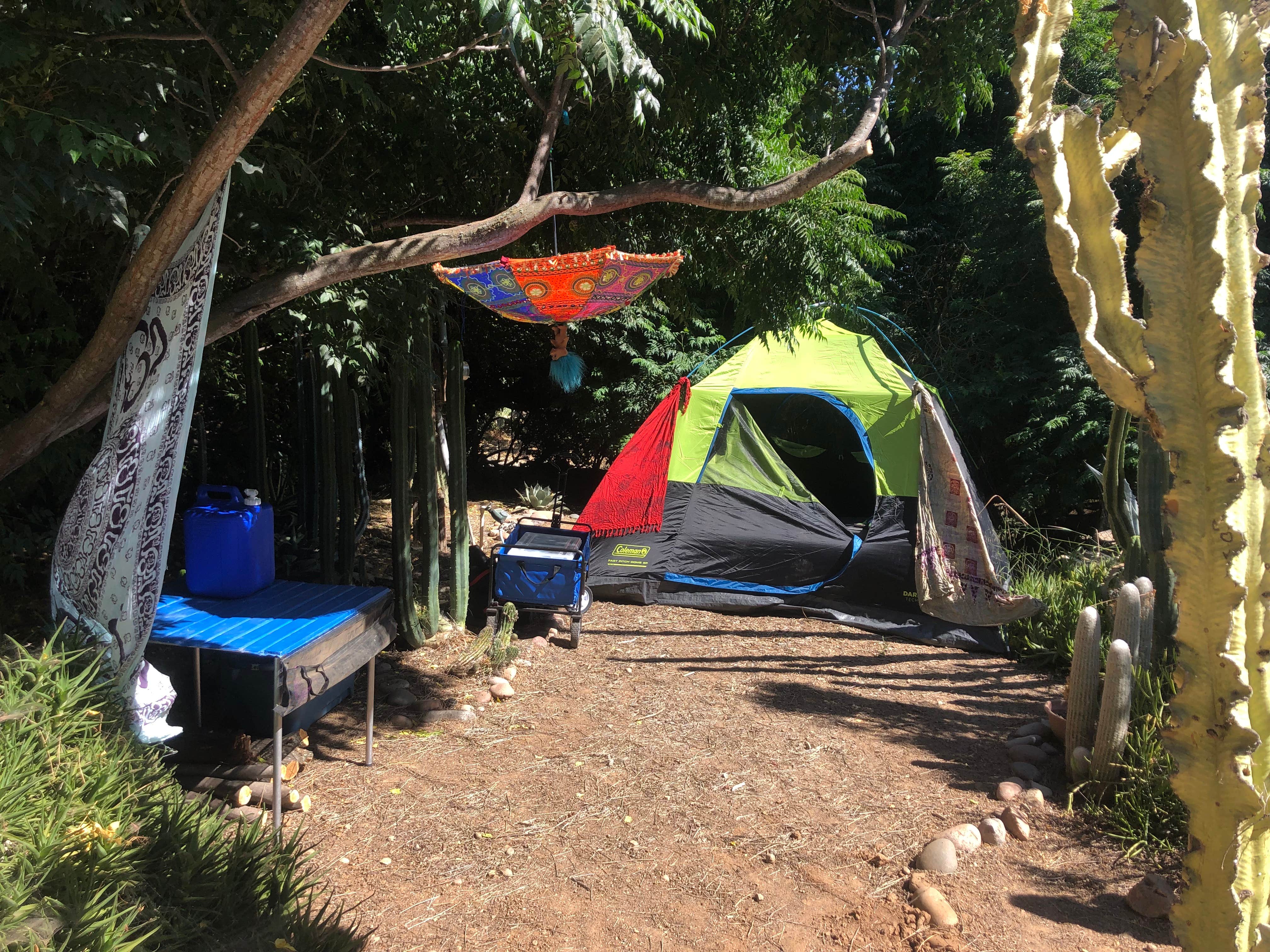 Dawn S.'s photo of tent camping at Dome Asylum - Closed near Julian, CA