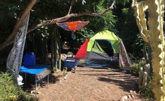 Dawn S.'s photo at Dome Asylum - Closed near Santee, CA