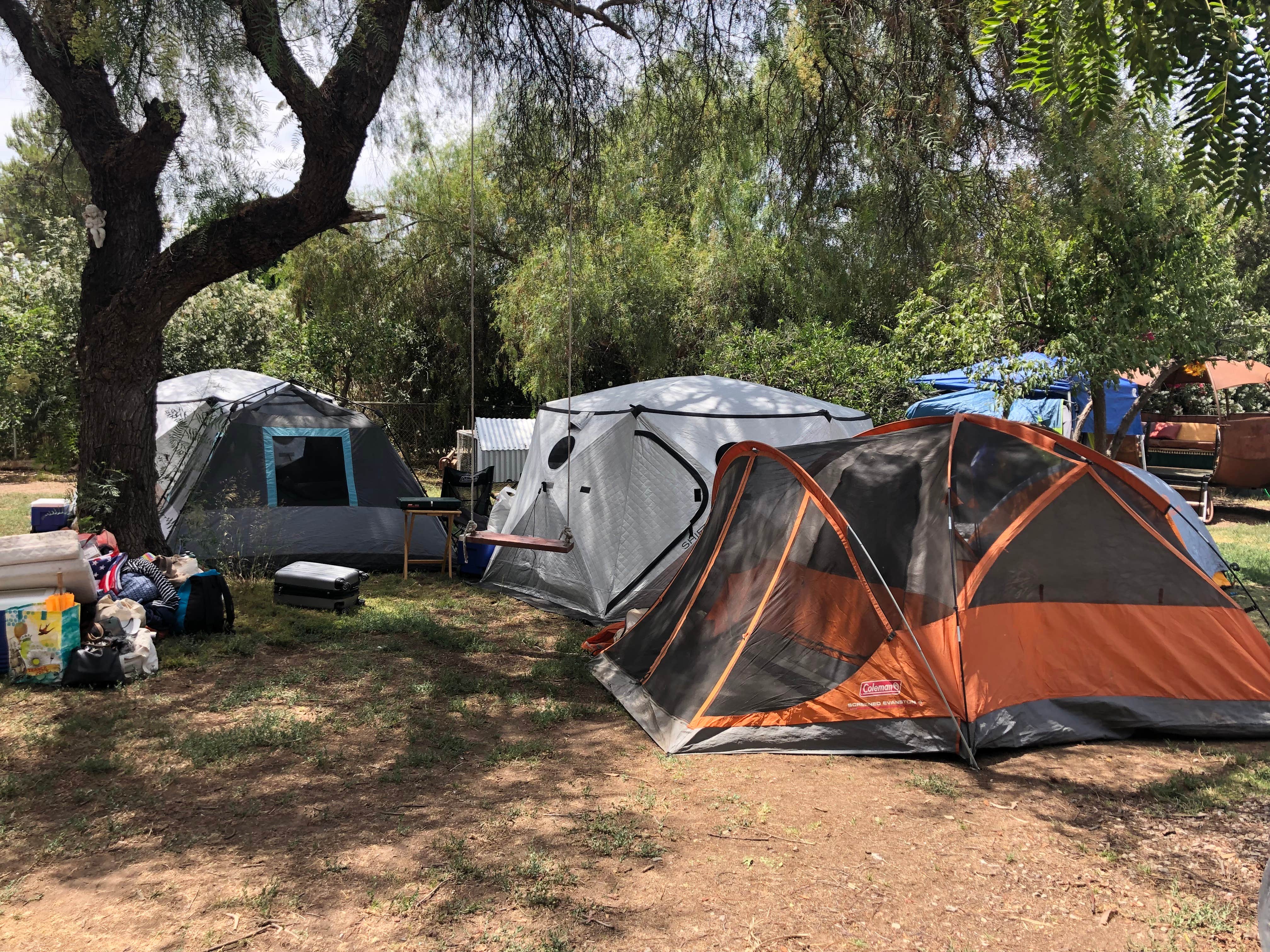 Camper submitted image from Dome Asylum - Closed - 2