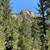 Review photo of Curtis Gulch Campground — Medicine Bow Routt N Fs & Thunder Basin Ng by Jacob B., June 17, 2022