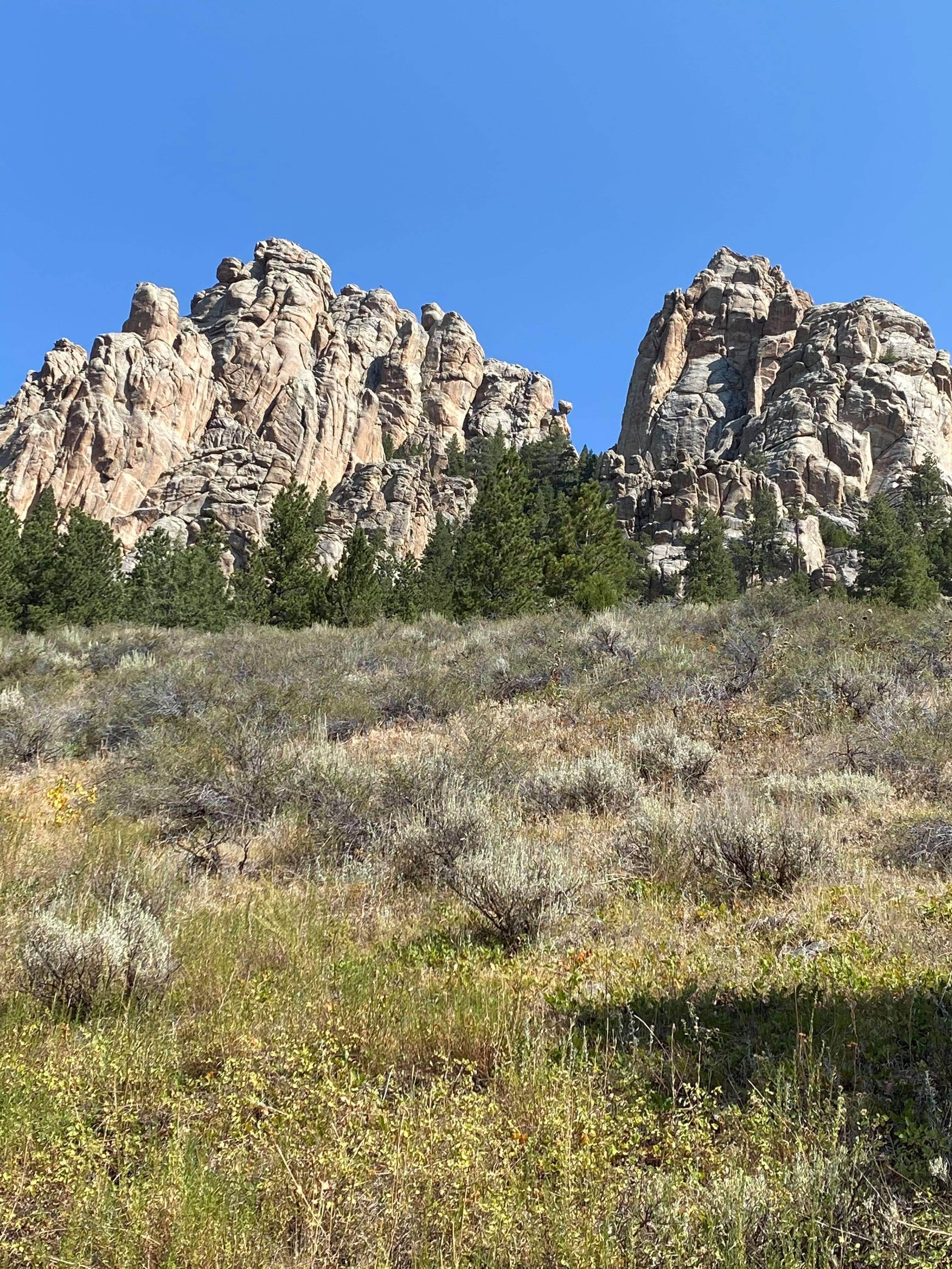 Camper submitted image from Curtis Gulch Campground — Medicine Bow Routt N Fs & Thunder Basin Ng - 1