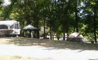 Tony A.'s photo at Hickory Creek Park near Greenland, AR