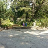 Review photo of Twin Harbors State Park Campground by ashley E., July 16, 2018