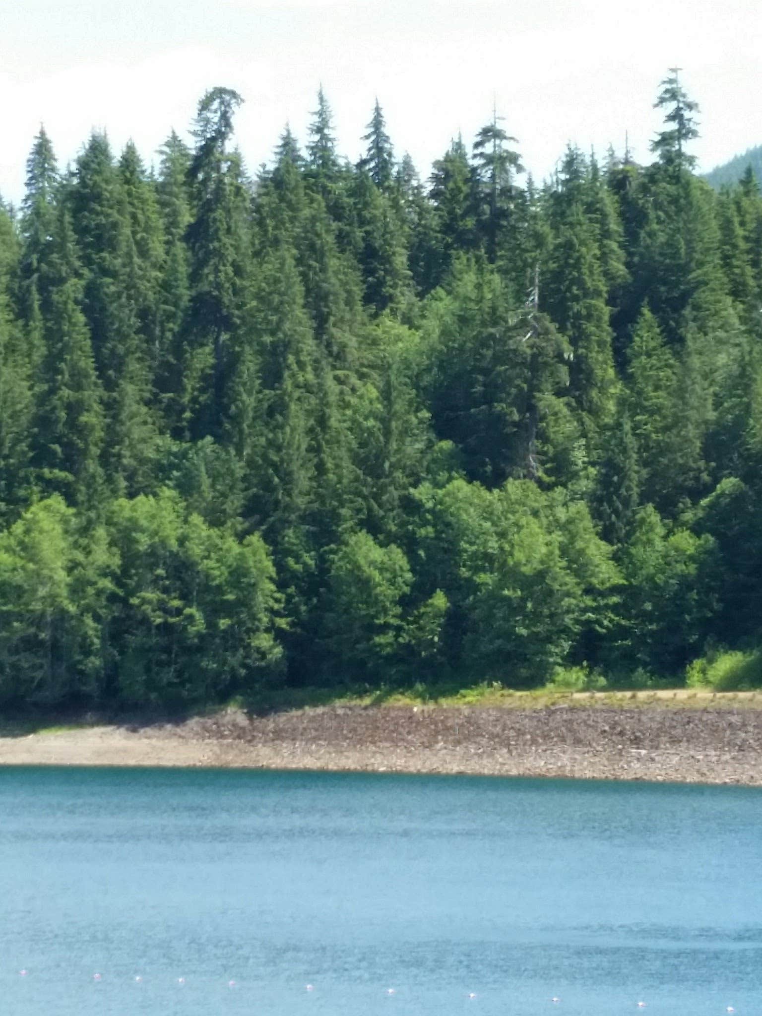 Camper-submitted photo at Wynoochee Falls Campground near Matlock, WA