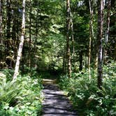 Review photo of Wynoochee Falls Campground by ashley E., July 16, 2018