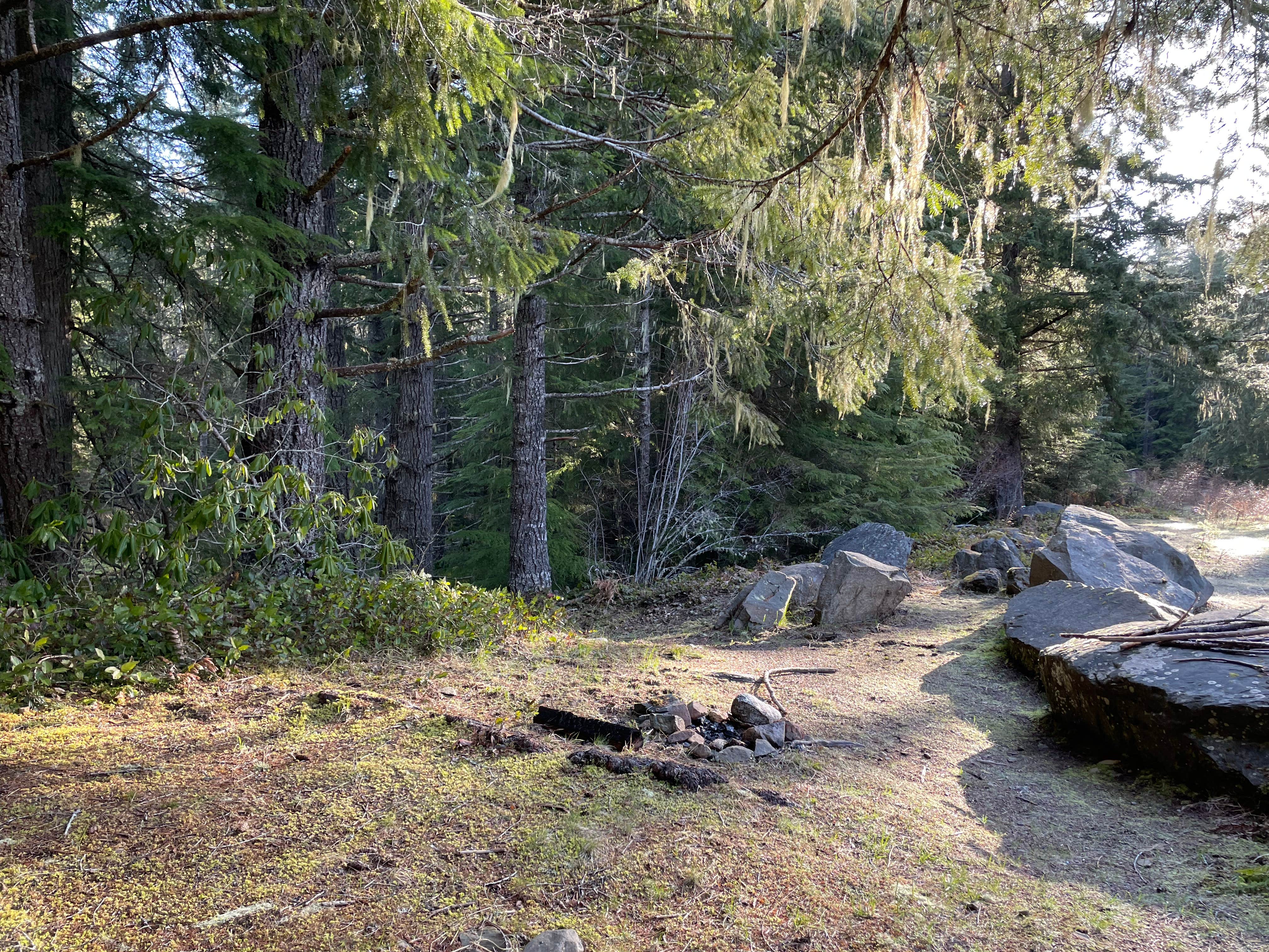 Camping near Grand Lake — Olympic National Park: Slab Camp/Deer Ridge Trailhead, Carlsborg, Washington