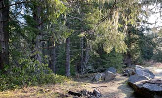 Camping near Large Pull Out (Dispersed) on FR 24: Slab Camp/Deer Ridge Trailhead, Carlsborg, Washington