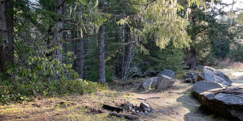 Camper submitted image from Slab Camp/Deer Ridge Trailhead