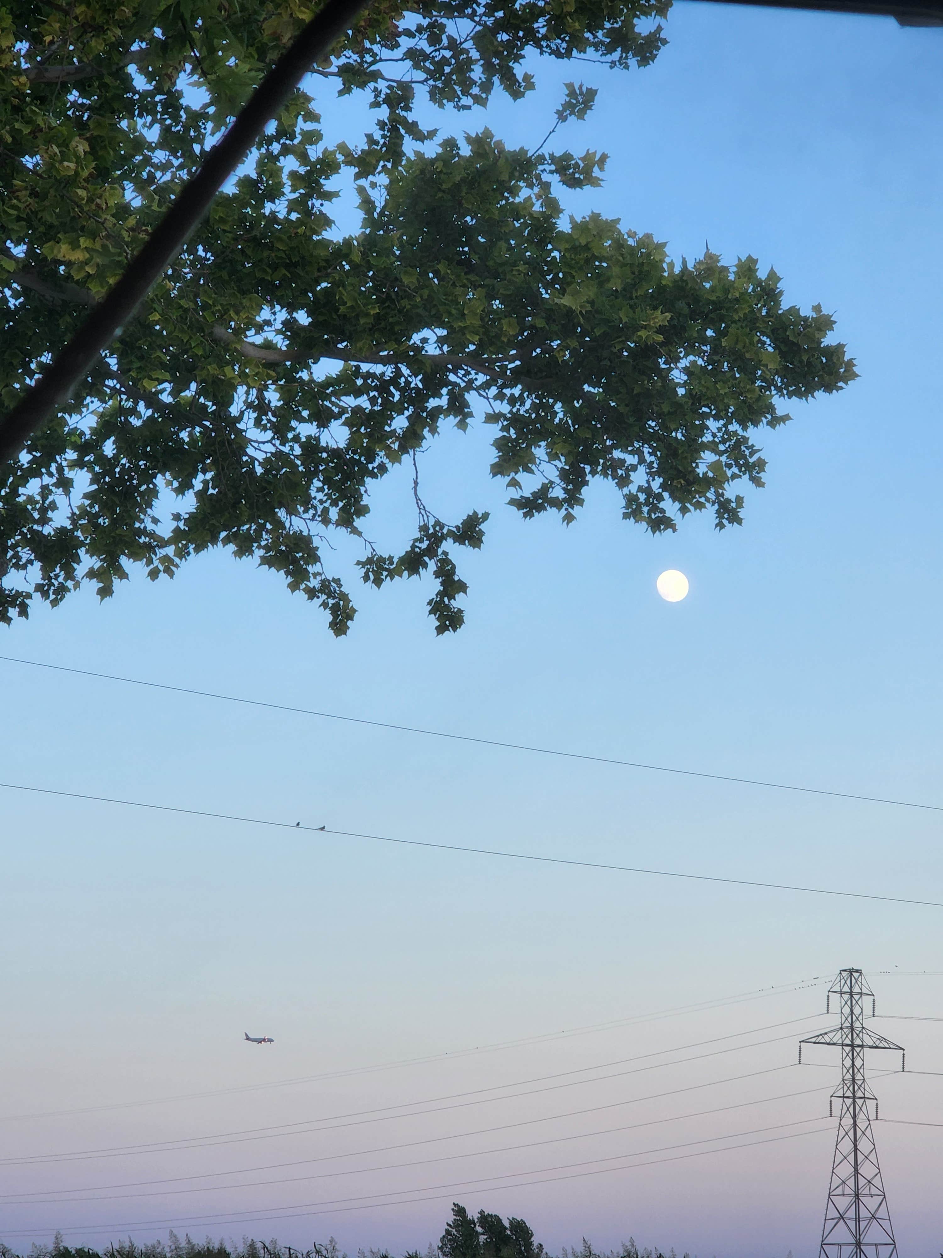 Camping near City of Pampa Recreation Park: Comanche Campground, Fritch, Texas