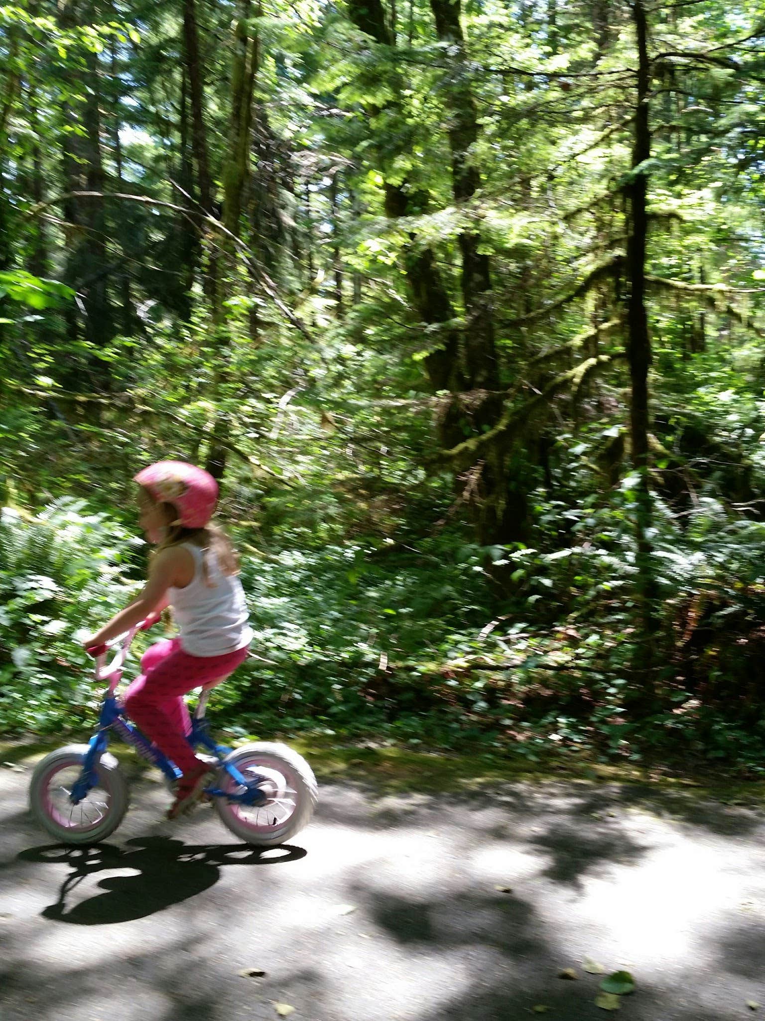 Camping near Graves Creek Campground — Olympic National Park: Wynoochee Falls Campground, Olympic National Forest, Washington