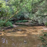 Review photo of Middle Fork Campground — Natural Bridge State Resort Park by Paul B., June 17, 2022
