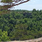 Review photo of Middle Fork Campground — Natural Bridge State Resort Park by Paul B., June 17, 2022