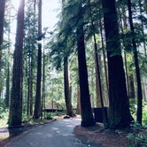 Review photo of Deception Pass State Park Campground by Jade C., June 17, 2022