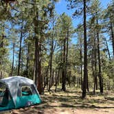 Review photo of Aspen Campground by Tarrah C., June 17, 2022