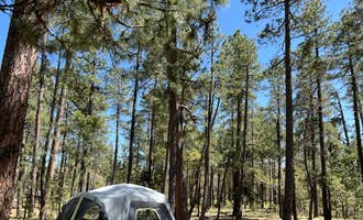 Camping near Sharp Creek: Aspen Campground, Forest Lakes, Arizona