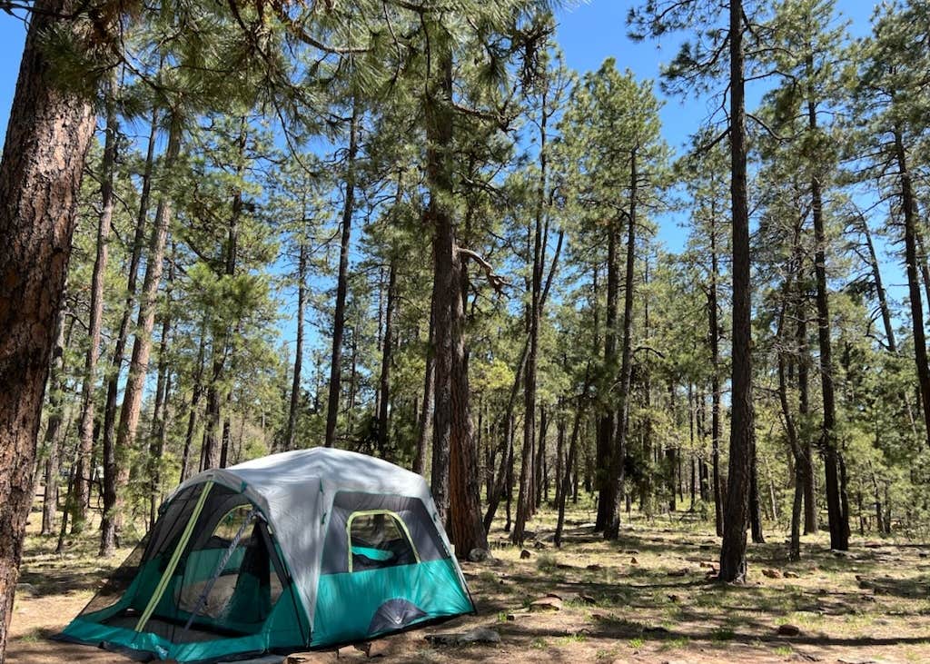 Aspen Campground Camping | Springerville, AZ | The Dyrt