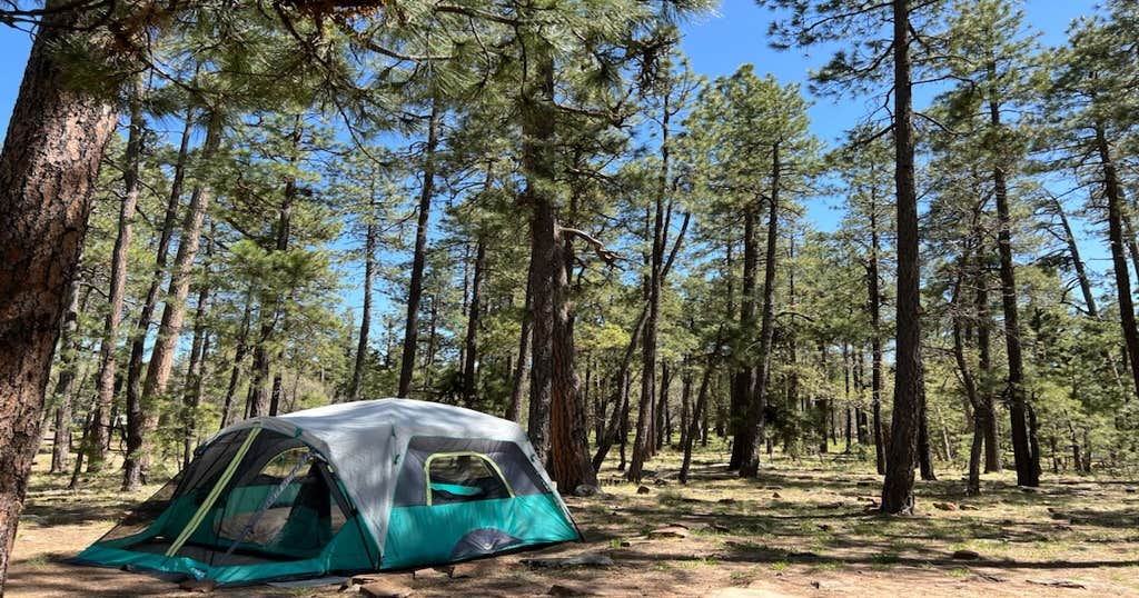 Aspen Campground Springerville, AZ