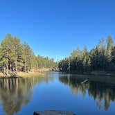 Review photo of Aspen Campground by Tarrah C., June 17, 2022