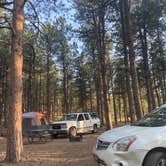 Review photo of Diamond Campground & RV Park by Rebecca T., June 17, 2022