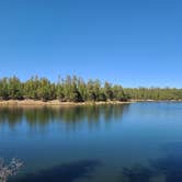 Review photo of Aspen Campground by Tarrah C., June 17, 2022