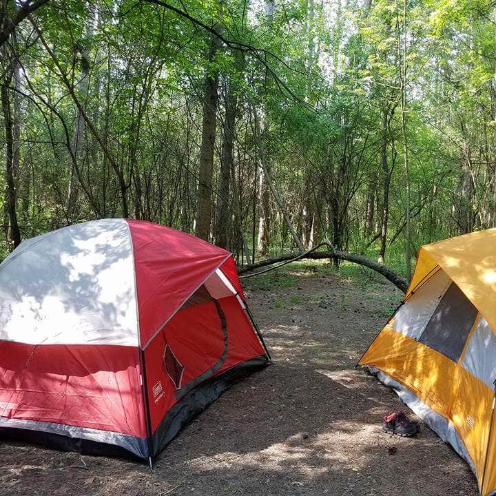 Pinewoods Campground Camping | The Dyrt